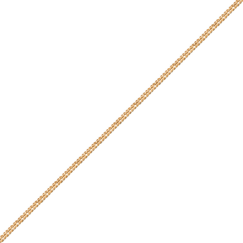 Цепь ЦР250СА6-А51